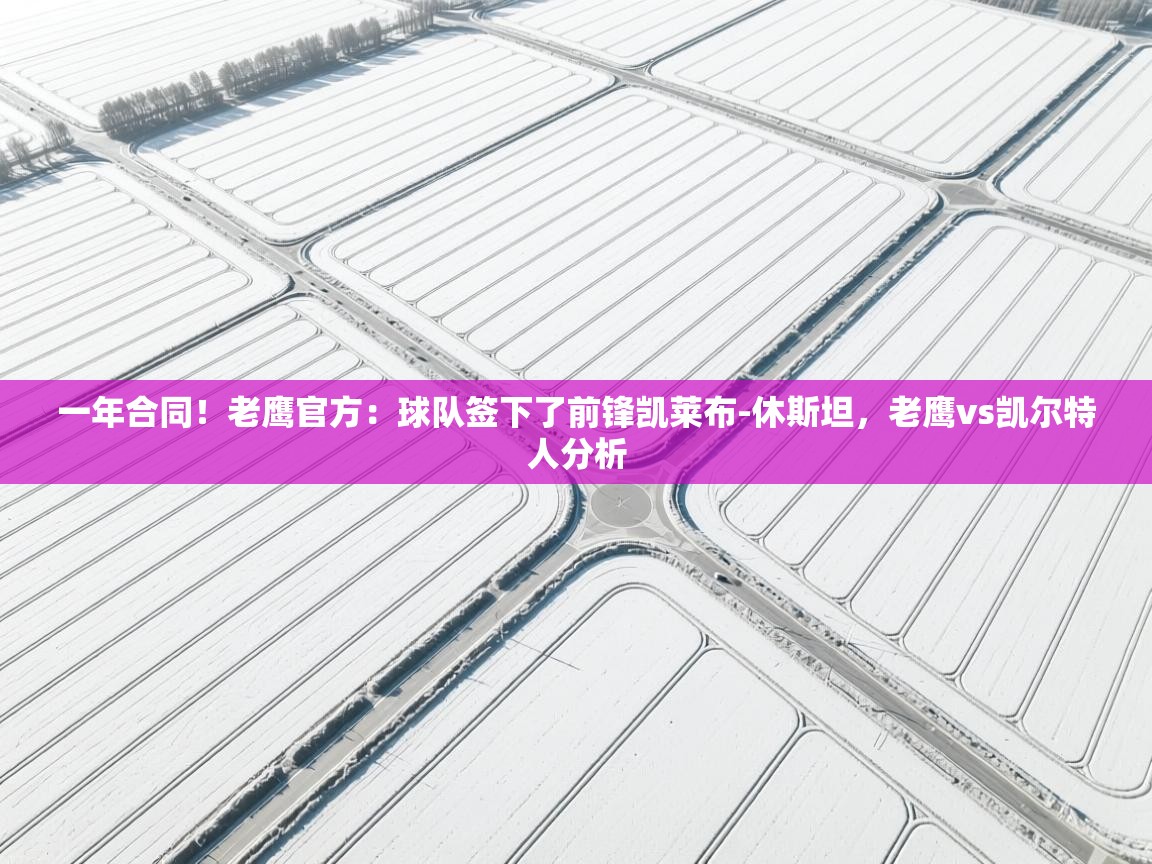 爱游戏娱乐app下载-一年合同！老鹰官方：球队签下了前锋凯莱布-休斯坦，老鹰vs凯尔特人分析  第3张