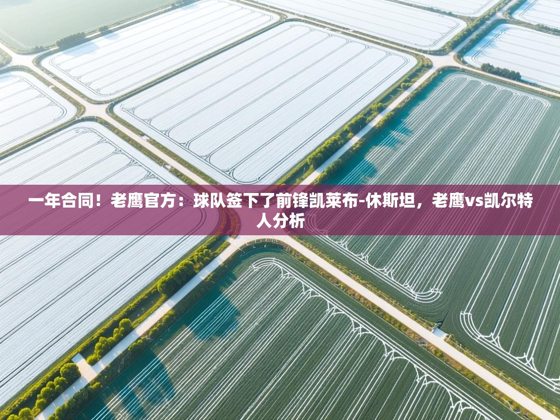 爱游戏娱乐app下载-一年合同！老鹰官方：球队签下了前锋凯莱布-休斯坦，老鹰vs凯尔特人分析  第4张