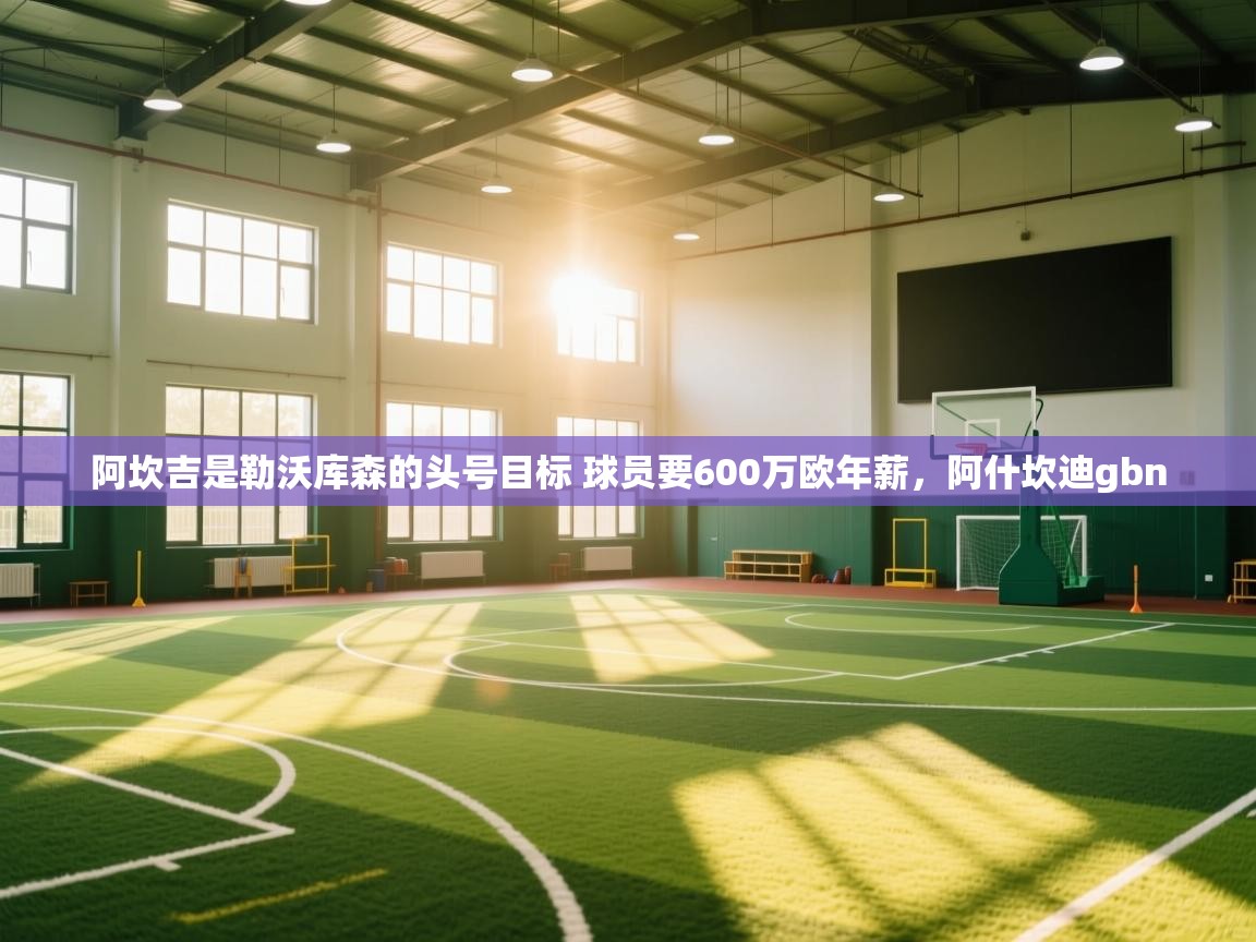 爱游戏体育在线app-阿坎吉是勒沃库森的头号目标 球员要600万欧年薪,阿什坎迪gbn 第3张