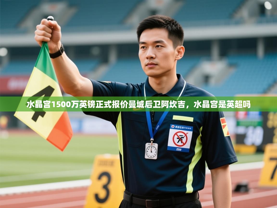 爱游体育直播app-水晶宫1500万英镑正式报价曼城后卫阿坎吉,水晶宫是英超吗 第1张
