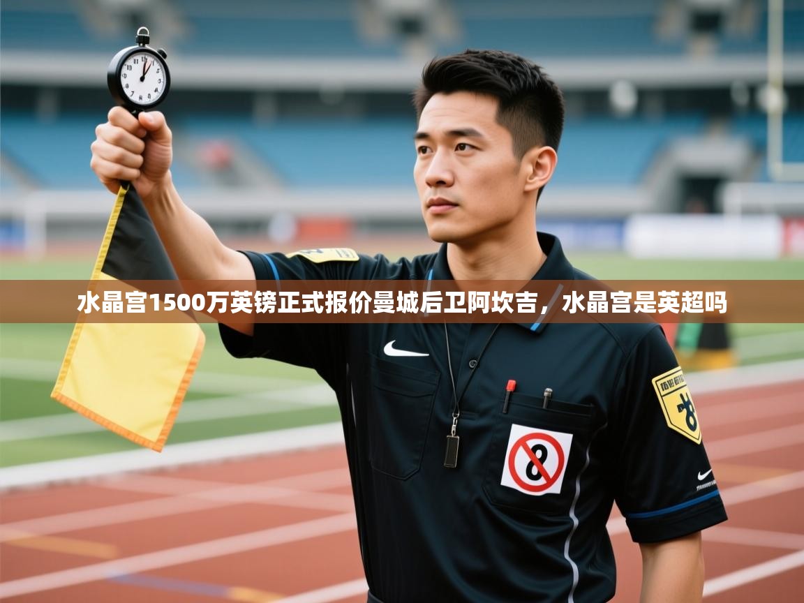 爱游体育直播app-水晶宫1500万英镑正式报价曼城后卫阿坎吉,水晶宫是英超吗 第2张