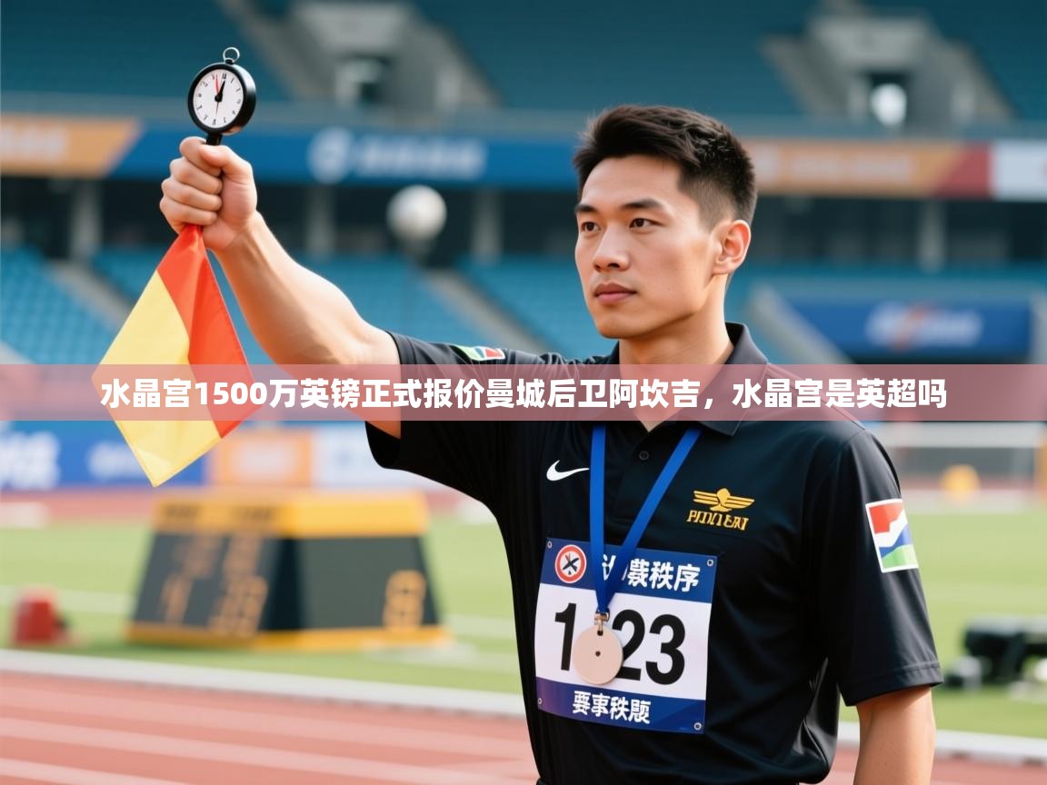 爱游体育直播app-水晶宫1500万英镑正式报价曼城后卫阿坎吉,水晶宫是英超吗 第4张