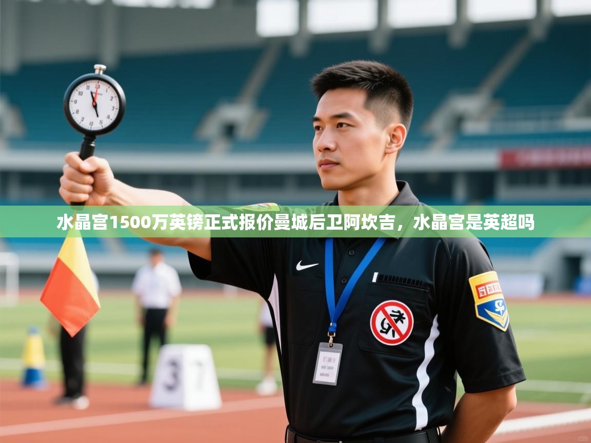 爱游体育直播app-水晶宫1500万英镑正式报价曼城后卫阿坎吉,水晶宫是英超吗 第3张