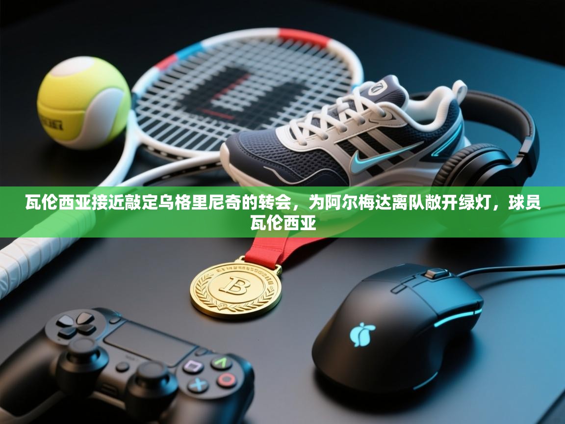 -瓦伦西亚接近敲定乌格里尼奇的转会，为阿尔梅达离队敞开绿灯，球员瓦伦西亚  第1张