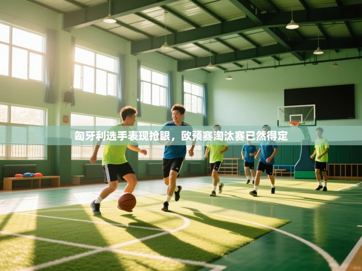 爱游戏下载-匈牙利选手表现抢眼，欧预赛淘汰赛已然得定  第3张