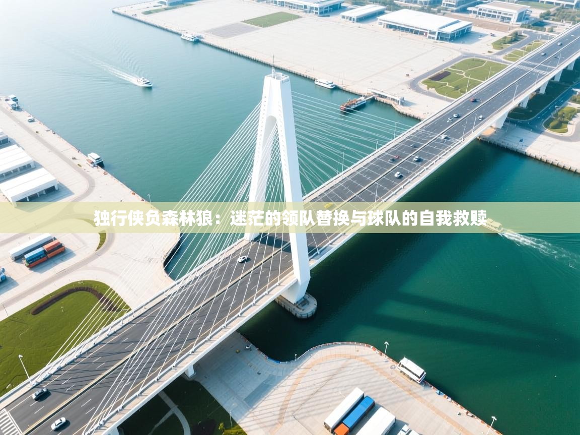 -独行侠负森林狼：迷茫的领队替换与球队的自我救赎  第1张