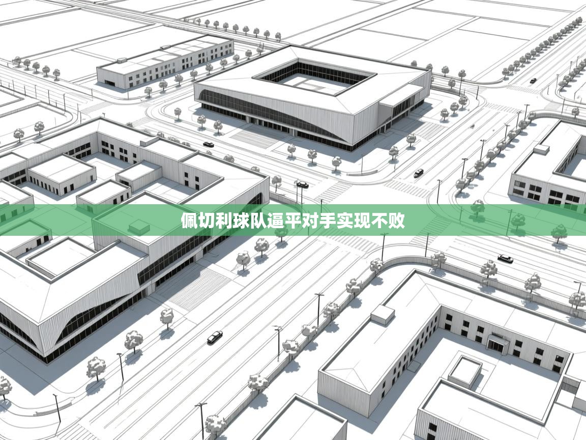 爱游戏体育全站入口-佩切利球队逼平对手实现不败  第1张