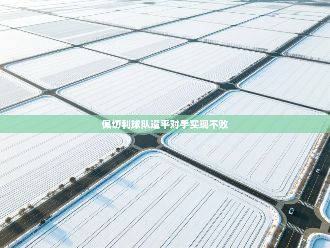 爱游戏体育全站入口-佩切利球队逼平对手实现不败  第2张