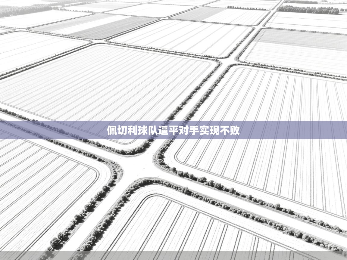 爱游戏体育全站入口-佩切利球队逼平对手实现不败  第3张