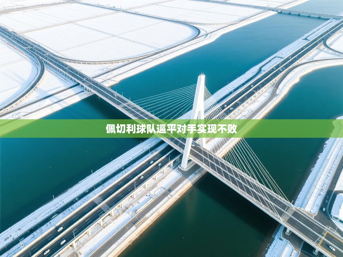 爱游戏体育全站入口-佩切利球队逼平对手实现不败  第4张