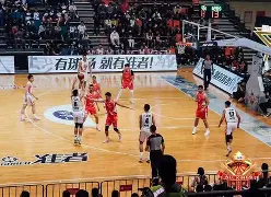 猛虎队士气不振，队员互相指责